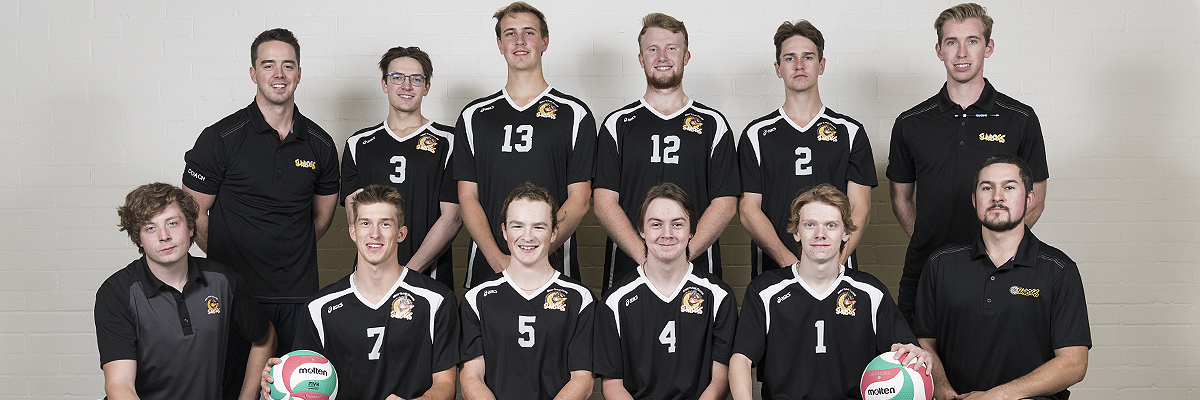 2019 men's volleyball team photo